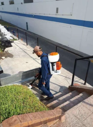 Fumigación y Control de Plagas — Multiservicios REAVZA