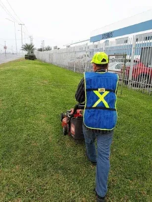 Corte de pasto en área verde industrial